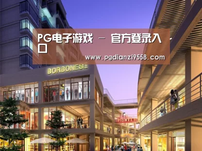 案例展示一(图1)