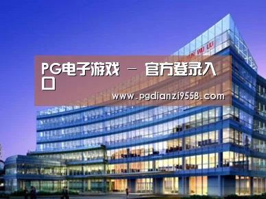 案例展示五